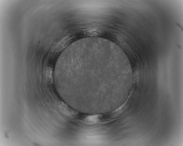 X0000102470178200809051341