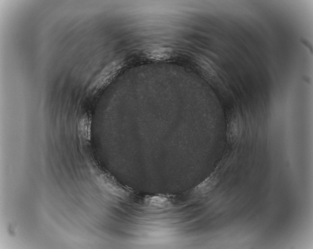 X0000102470180200809051341