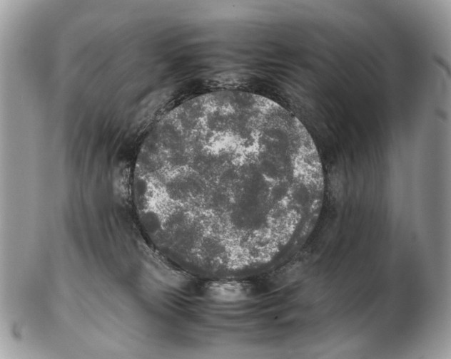 X0000102470181200809051341