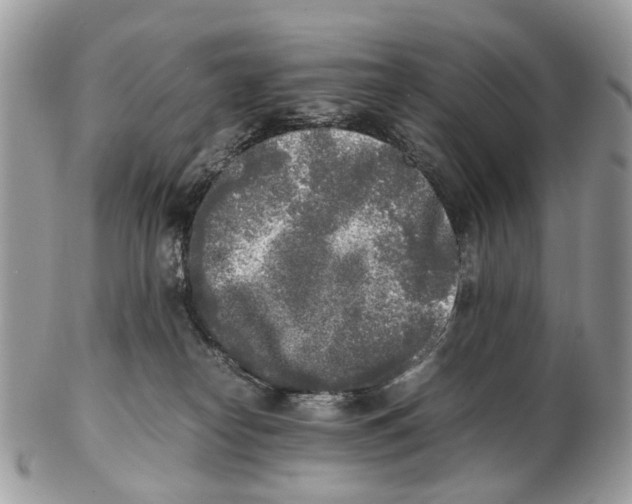 X0000102470182200809051341