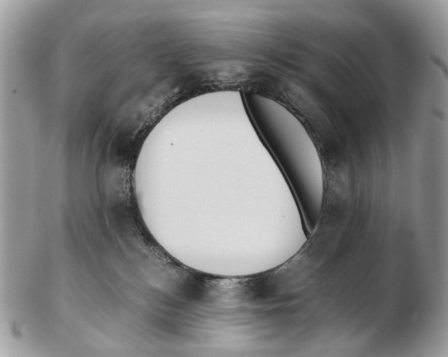 X0000102470184200809051341