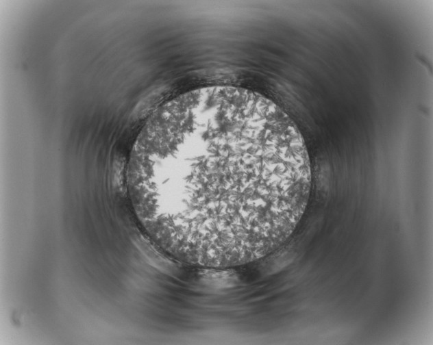 X0000102470185200809051341