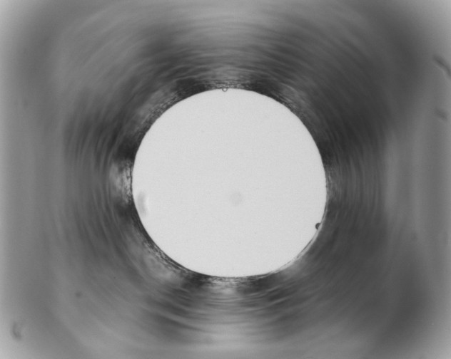X0000102470190200809051341