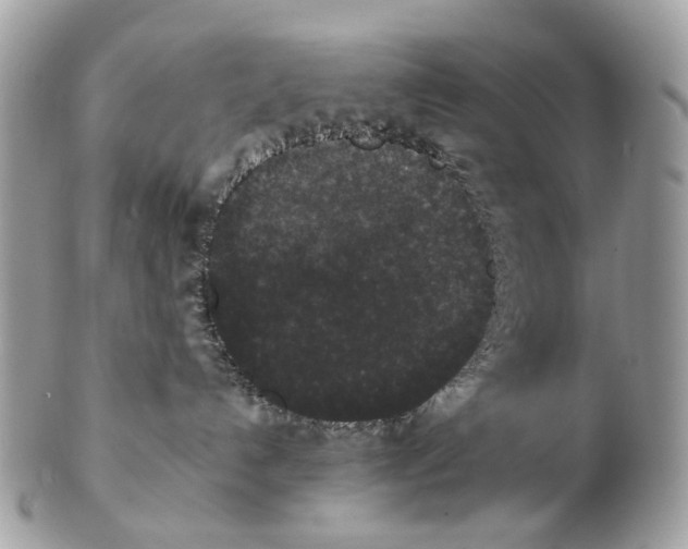 X0000102470192200809051341