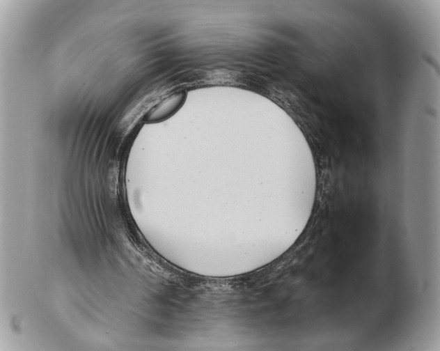 X0000102470194200809051341