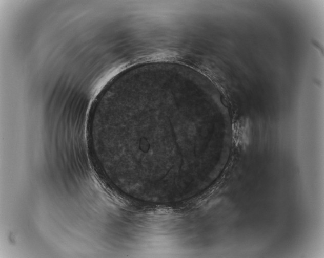 X0000102470196200809051340