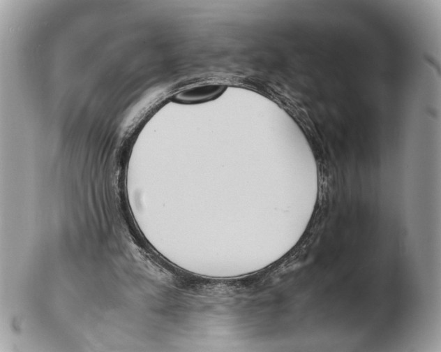X0000102470197200809051340