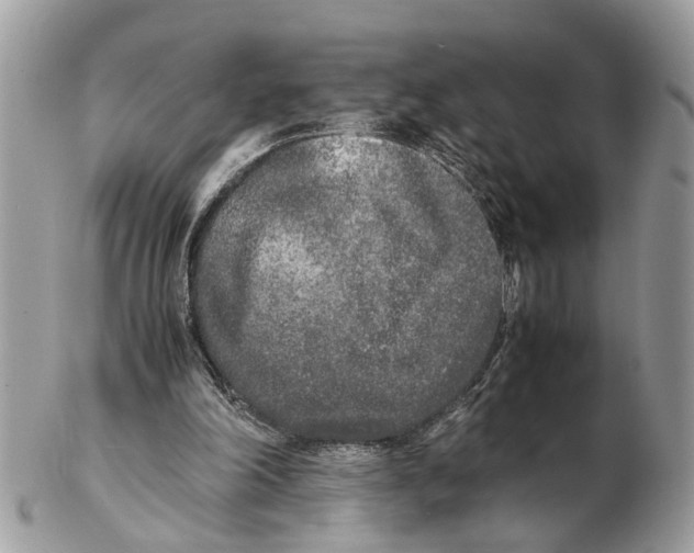 X0000102470198200809051340