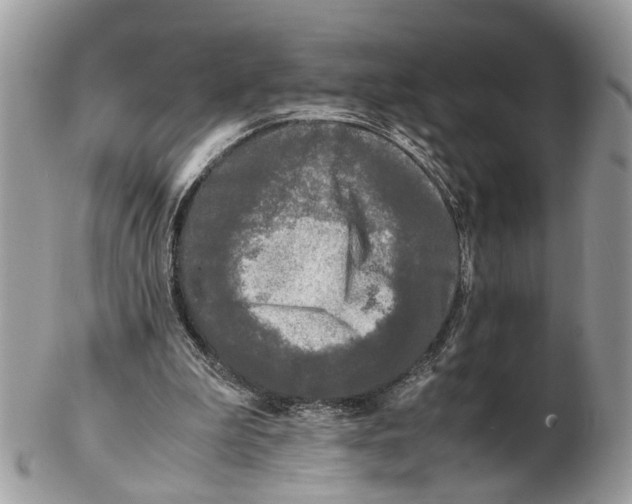 X0000102470199200809051340