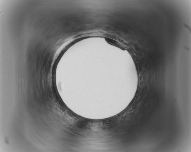 X0000102470200200809051340