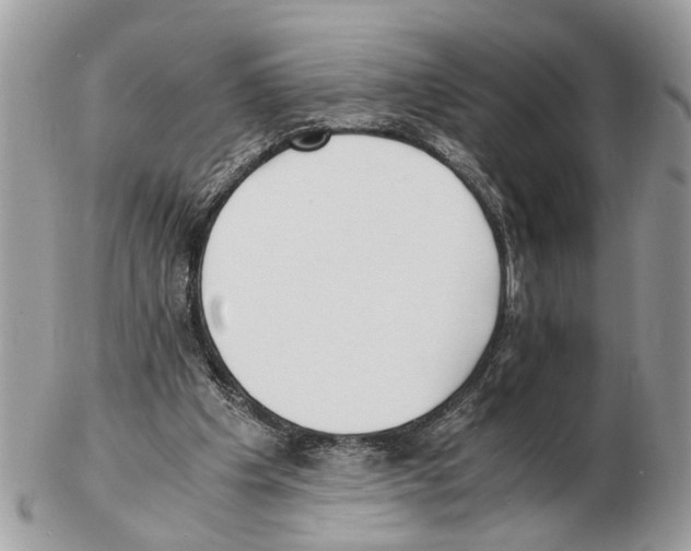 X0000102470201200809051340