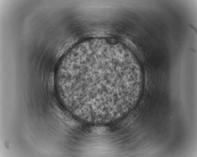 X0000102470202200809051340
