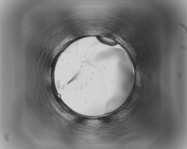X0000102470203200809051340