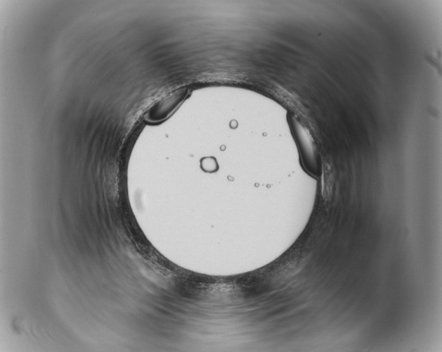 X0000102470204200809051340