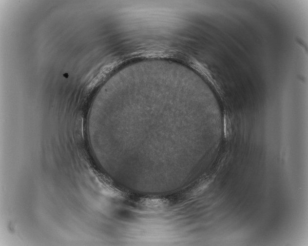 X0000102470205200809051340