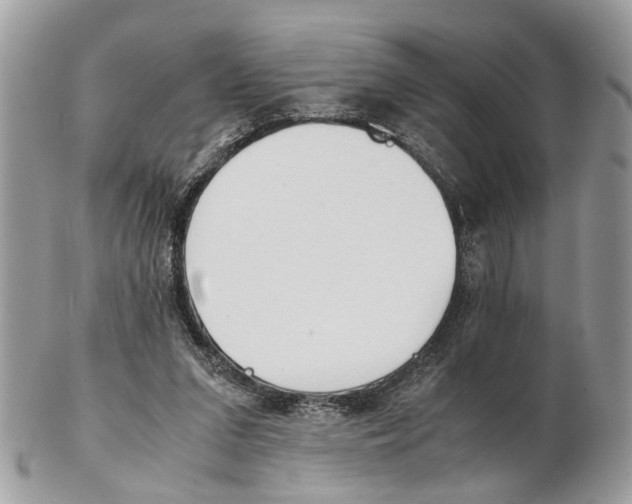 X0000102470207200809051340