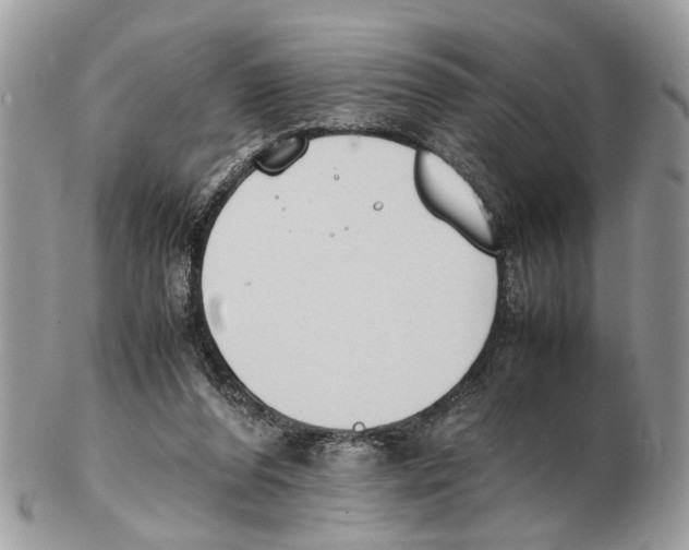 X0000102470208200809051340