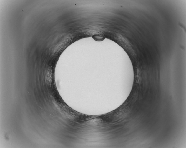 X0000102470210200809051340