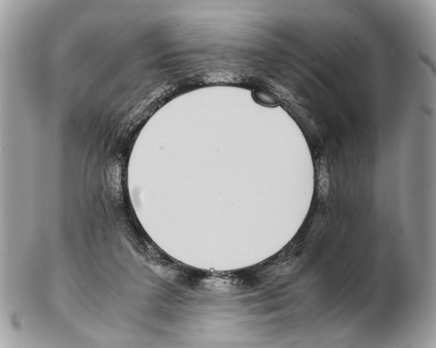X0000102470211200809051340
