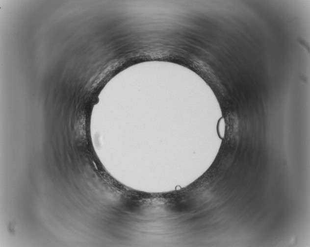 X0000102470212200809051340