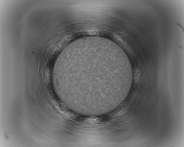 X0000102470213200809051340