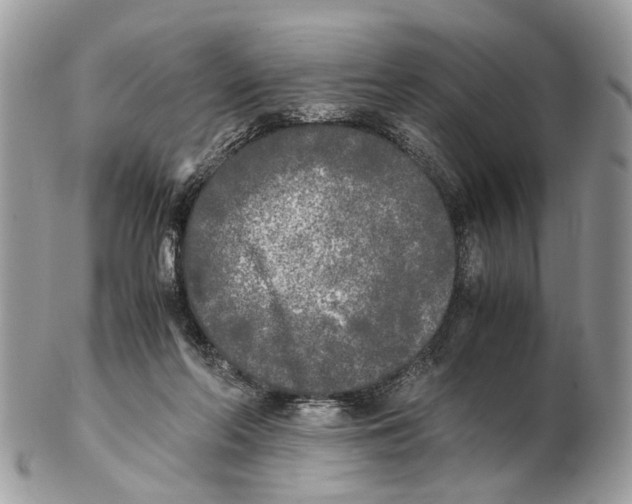 X0000102470214200809051340