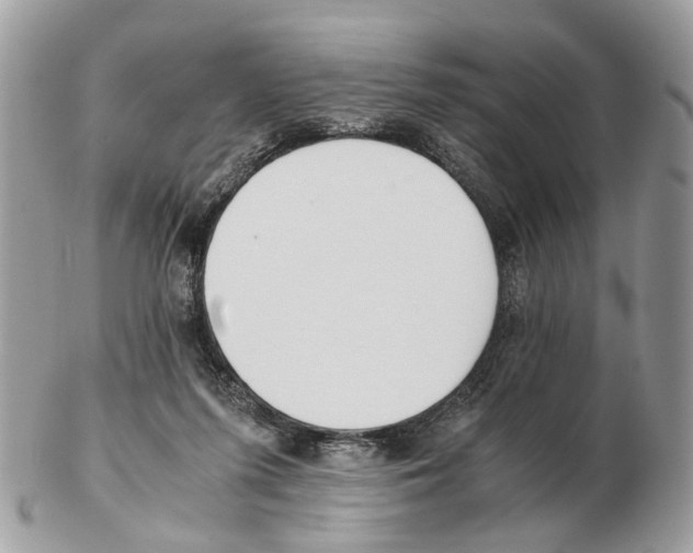 X0000102470215200809051340