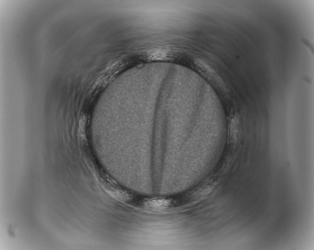 X0000102470217200809051340