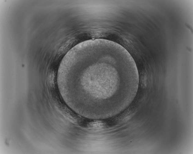 X0000102470219200809051340