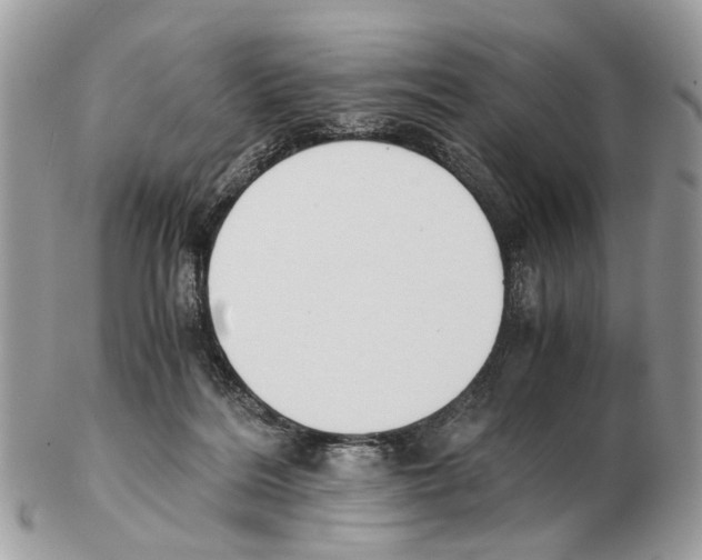 X0000102470220200809051340