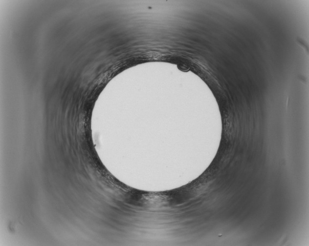 X0000102470221200809051340