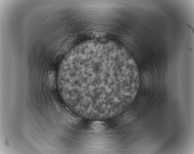 X0000102470222200809051340