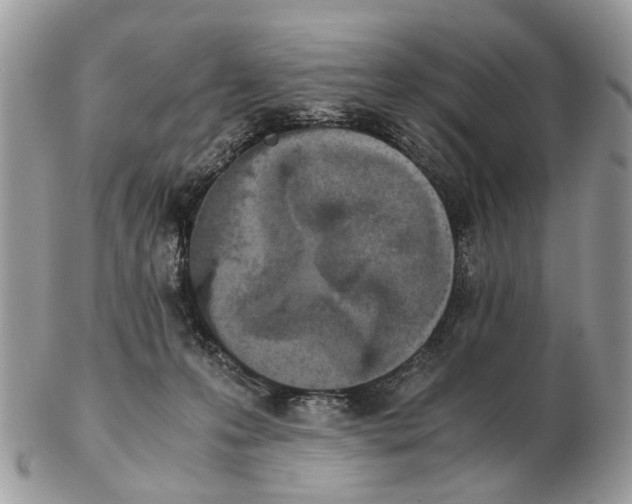 X0000102470223200809051340