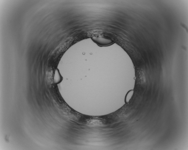 X0000102470224200809051340