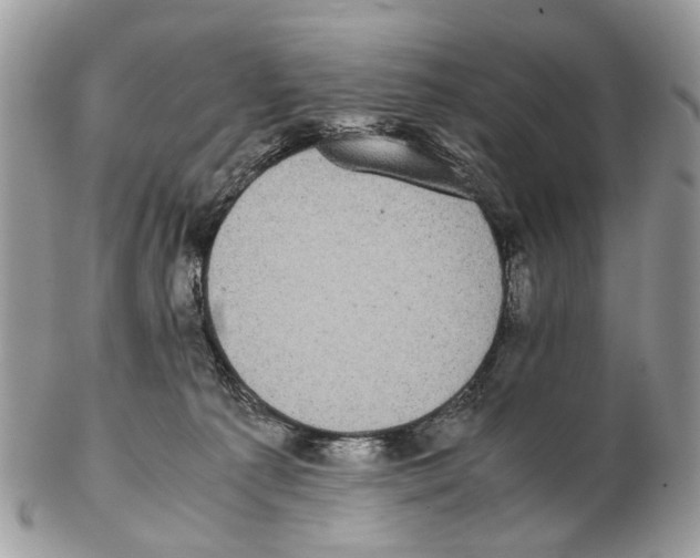 X0000102470225200809051340