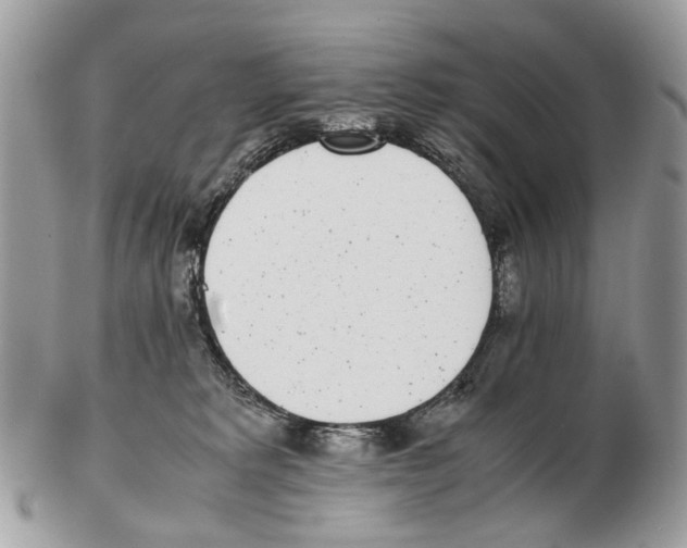 X0000102470229200809051340