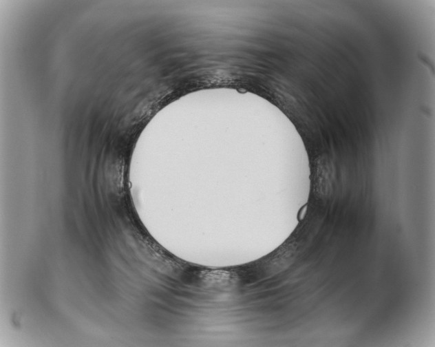 X0000102470230200809051340