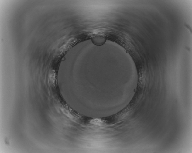 X0000102470231200809051340