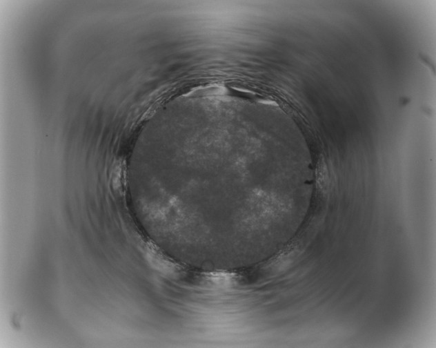 X0000102470233200809051340