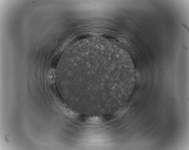 X0000102470237200809051340