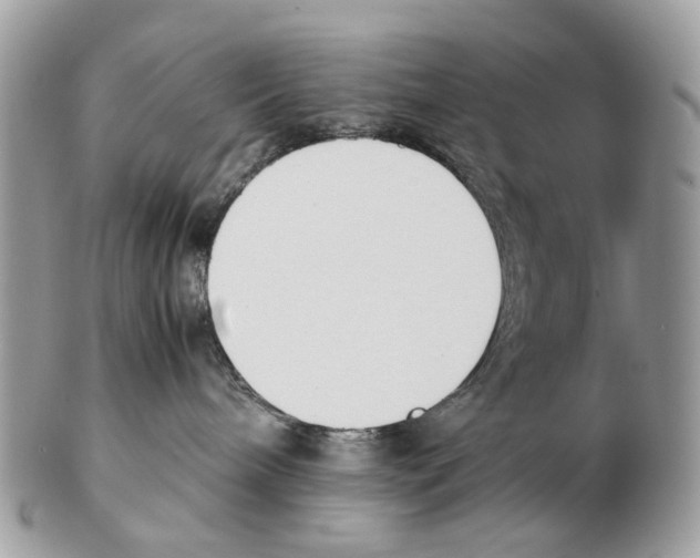 X0000102470240200809051340