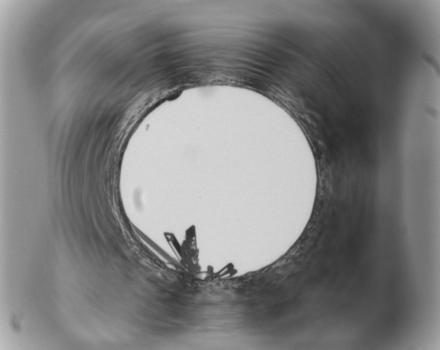 X0000102470241200809051339