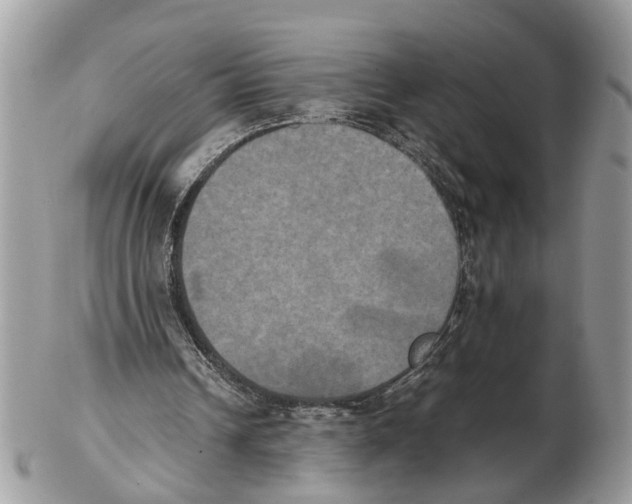 X0000102470242200809051339
