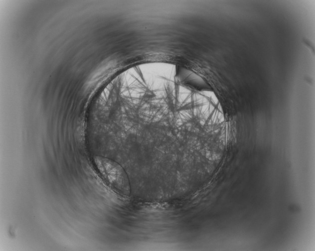 X0000102470243200809051339