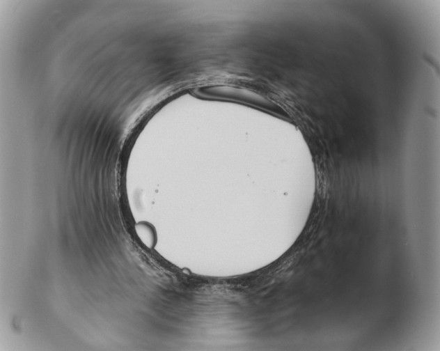 X0000102470244200809051339