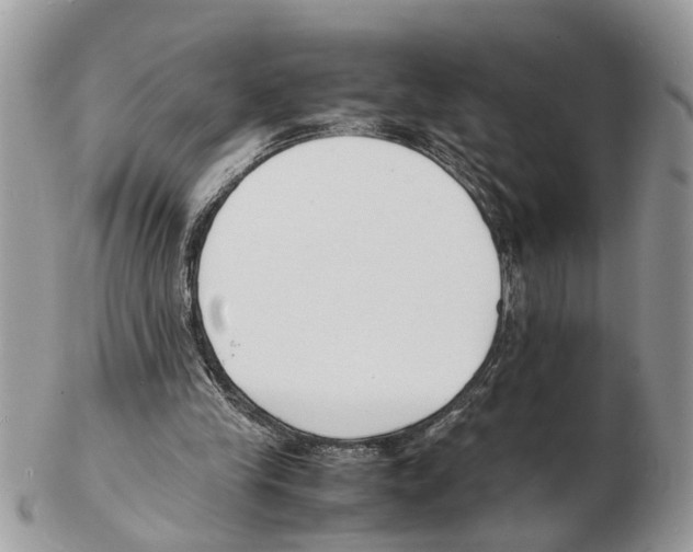 X0000102470245200809051339
