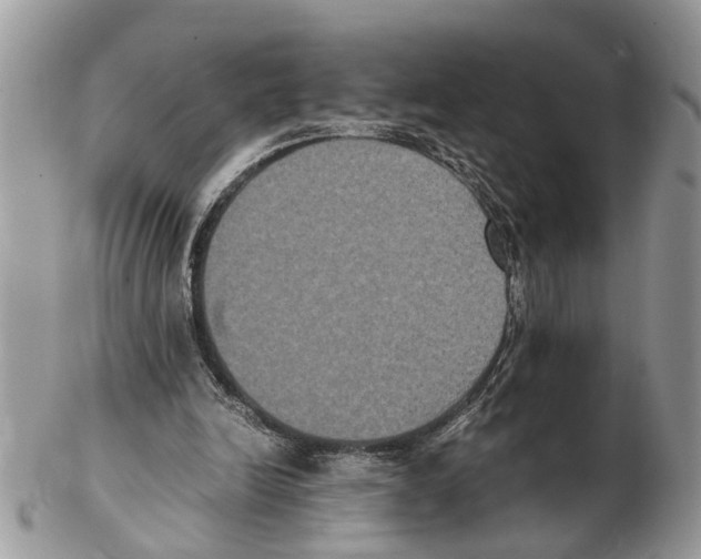 X0000102470246200809051339
