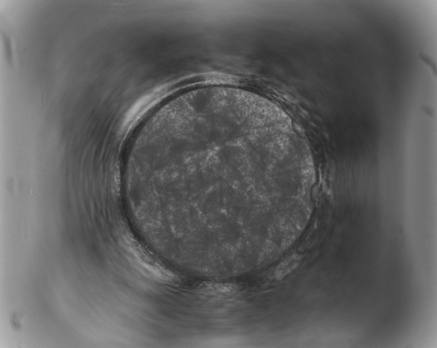 X0000102470247200809051339