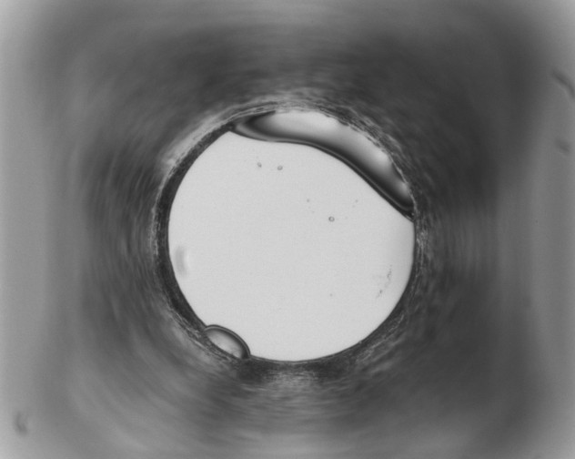 X0000102470248200809051339