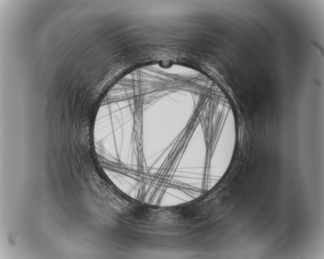 X0000102470249200809051339